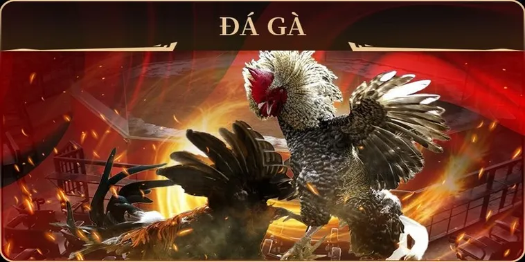 Trở Thành Cao Thủ Đá Gà GA28 Tại 58Win Với Bí Kíp Độc Quyền