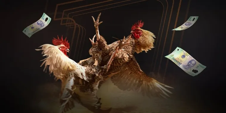 Trải Nghiệm Đá Gà 58Win Đỉnh Cao Nhận Thưởng Khủng Mỗi Ngày Cho Kê Thủ