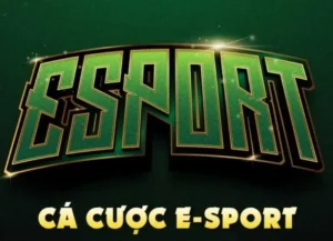 Bùng Nổ Đam Mê Cá Cược Thể Thao Điện Tử 58Win Rinh Ngàn Quà